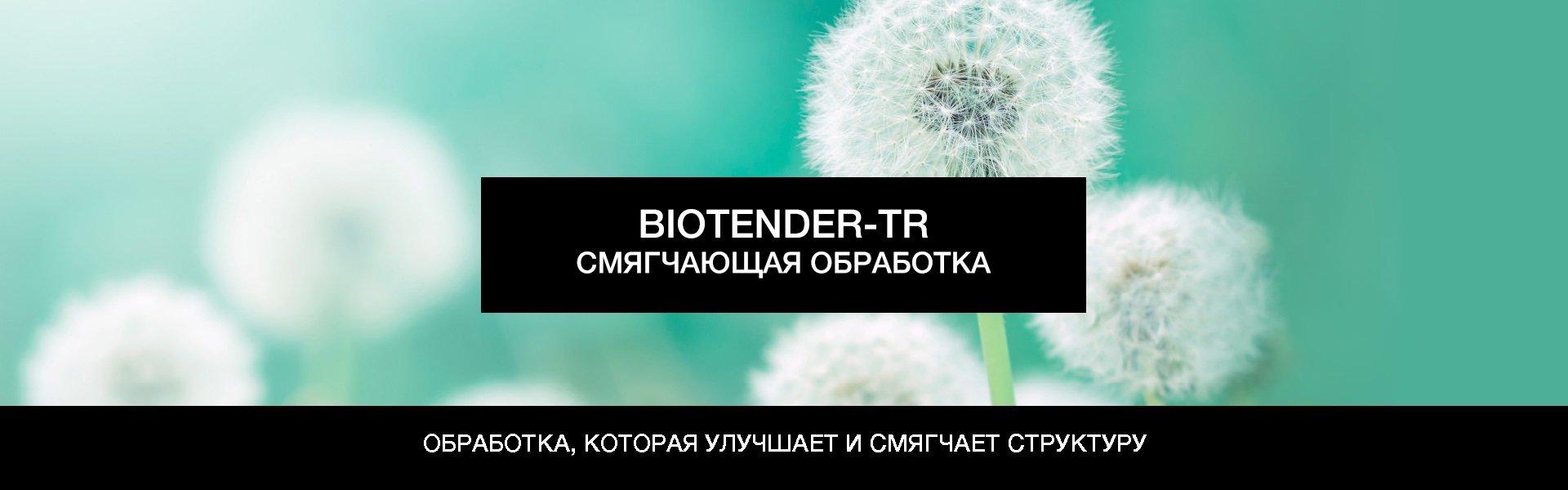 BIOTENDER-TR SOFTNESS TREATMENT